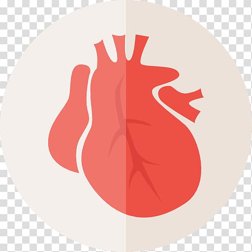 Organ Heart Human body Computer Icons Lung, heart transparent background PNG clipart