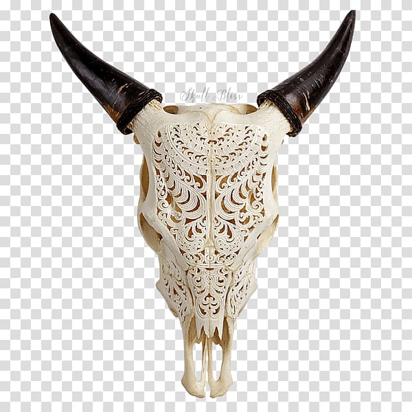 Texas Longhorn English Longhorn Skull Bull Ox, skull transparent background PNG clipart