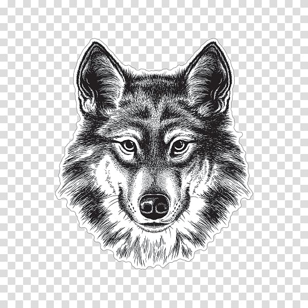 Gray wolf Siberian Husky Coyote Drawing Sketch, wolf sticker transparent background PNG clipart