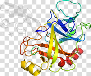 Line Point , line transparent background PNG clipart thumbnail