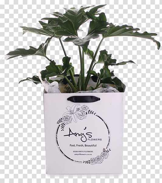 Herb Flowerpot, philodendron transparent background PNG clipart