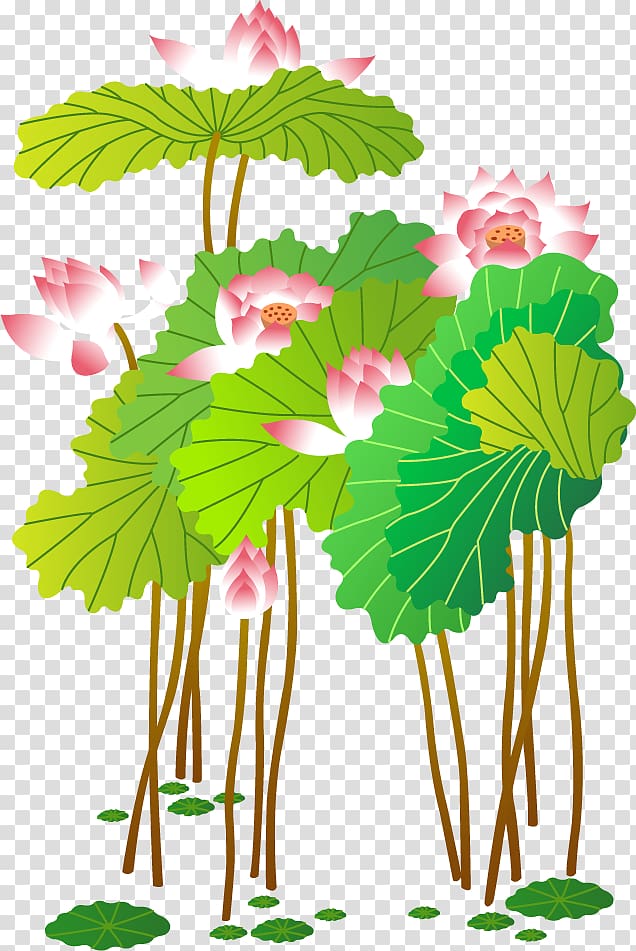 pink lotus flowers , Nelumbo nucifera Euclidean Adobe Illustrator, Hand-painted lotus transparent background PNG clipart