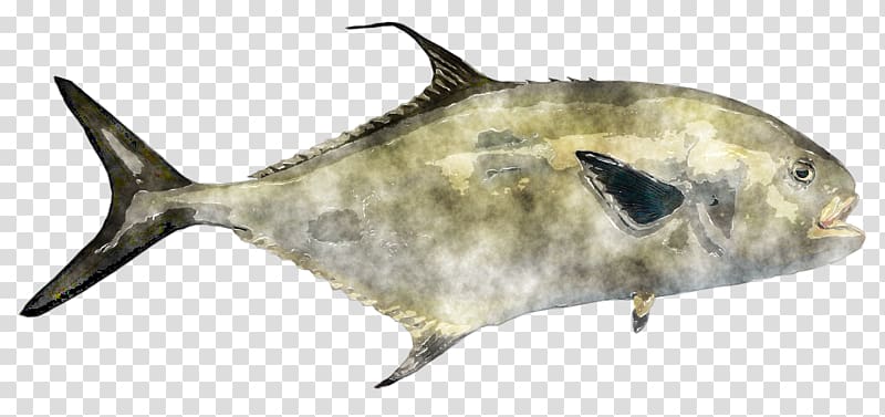 GOOD INSHORE FISHING Watercolor painting Marine mammal Marine biology, fish watercolor transparent background PNG clipart