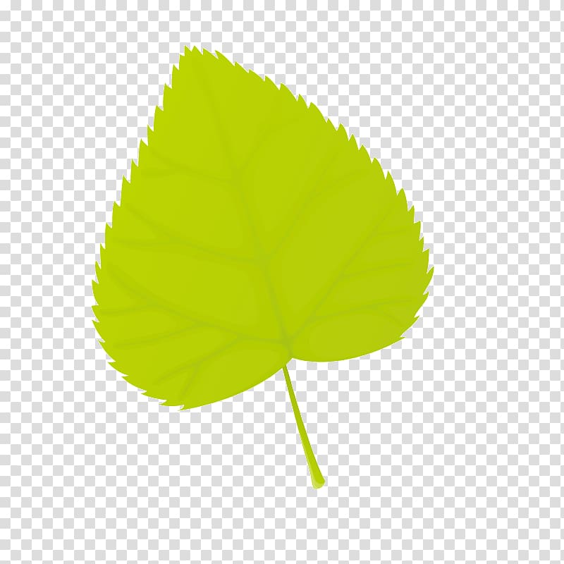 Leaf Euclidean , Creative leaves transparent background PNG clipart