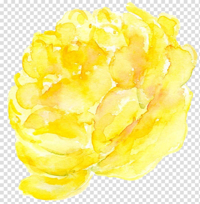 Yellow , Yellow peony flower painted transparent background PNG clipart