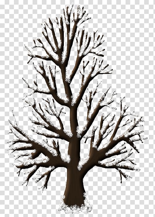 Woody plant Tree Monochrome , winter tutorial transparent background PNG clipart