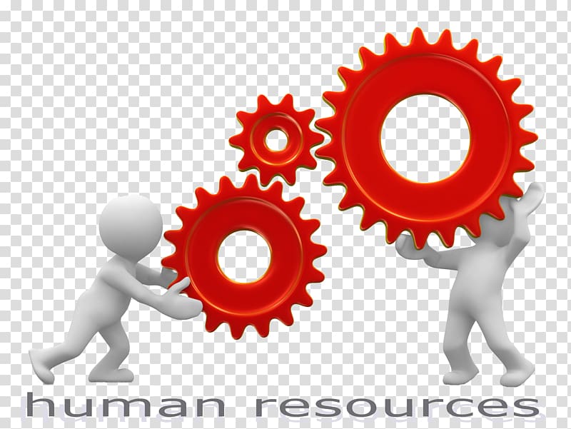 Human resource management Human resource management , c-hr transparent background PNG clipart