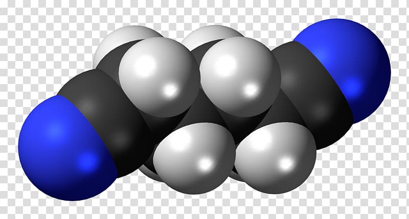 Neurotransmitter gamma-Aminobutyric acid Endorphins Space-filling model Glutamic acid, others transparent background PNG clipart