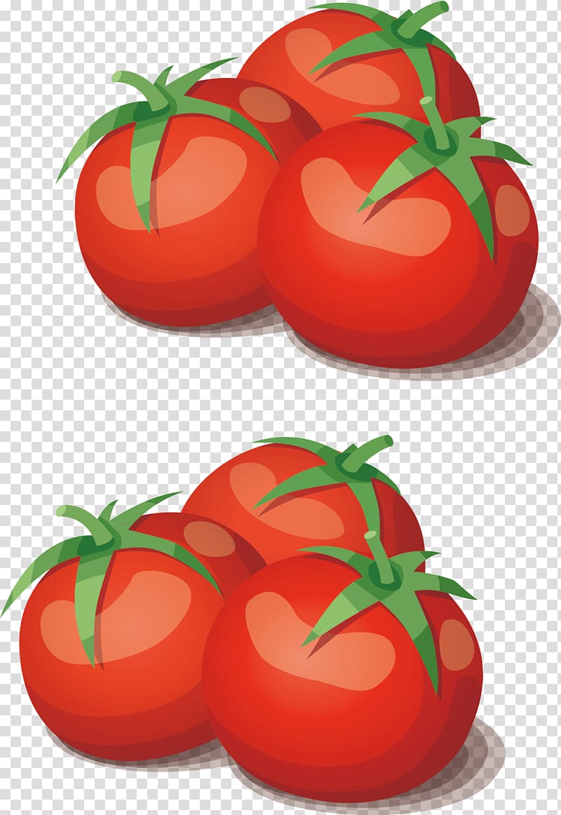 Tomato Vegetable Cooking Food, Tomatoes combination transparent background PNG clipart