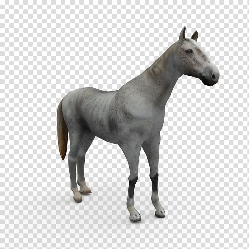 Mule Horse Stallion Pony Mare, Whitehorse transparent background PNG clipart