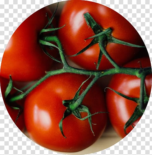 Chutney Roma tomato Plum tomato Vegetable Cherry tomato, vegetable transparent background PNG clipart