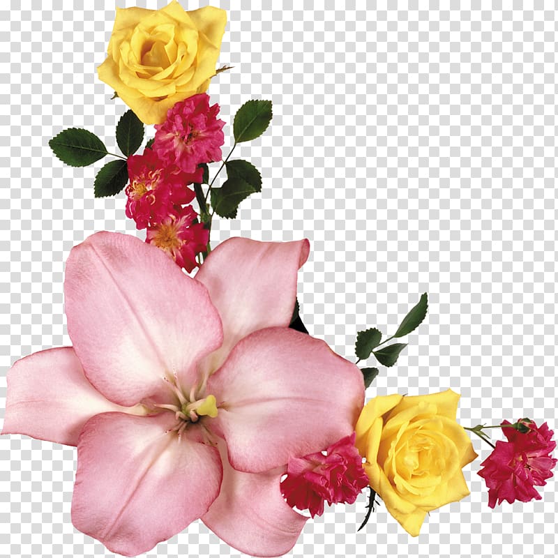 Garden roses , kartikeya transparent background PNG clipart