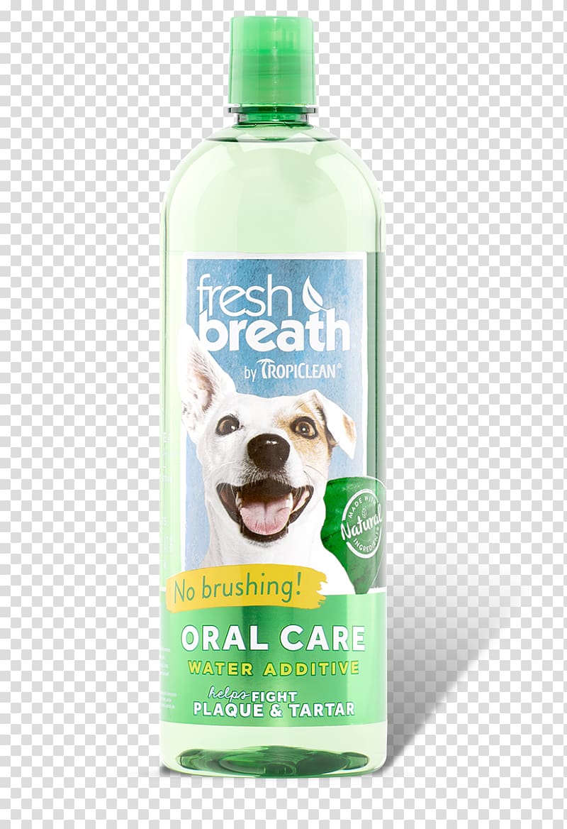 Dog Cat Dental Calculus Oral hygiene Pet, fresh breath transparent background PNG clipart