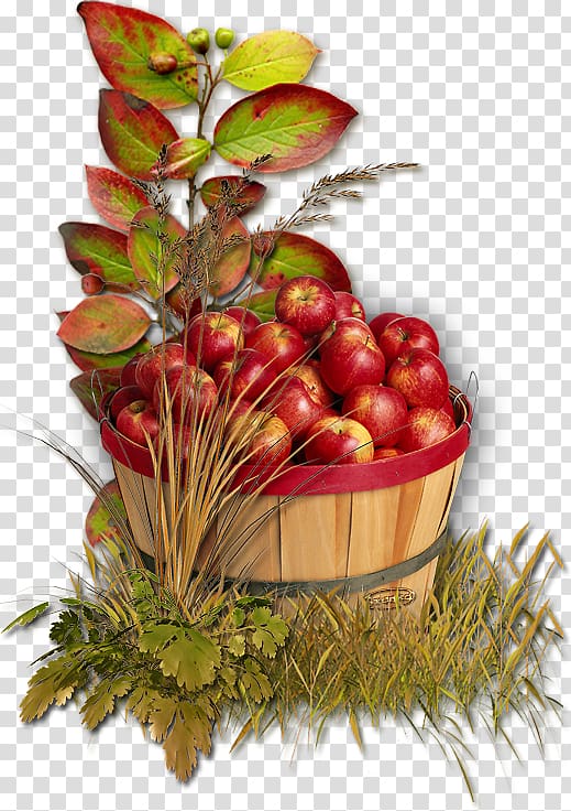 autumn apple harvest transparent background PNG clipart