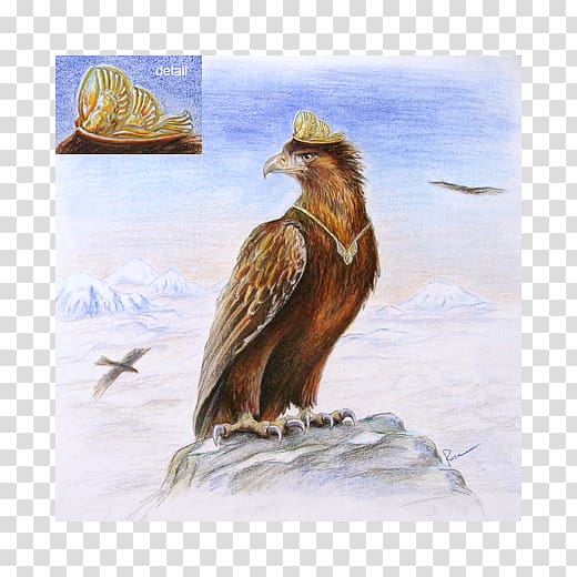 Eagles The Hobbit Dwarf, eagle transparent background PNG clipart