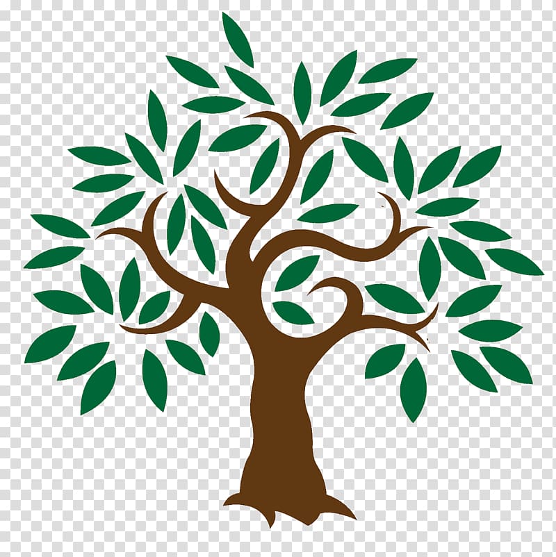 Olive Learn about Trees , meditation transparent background PNG clipart
