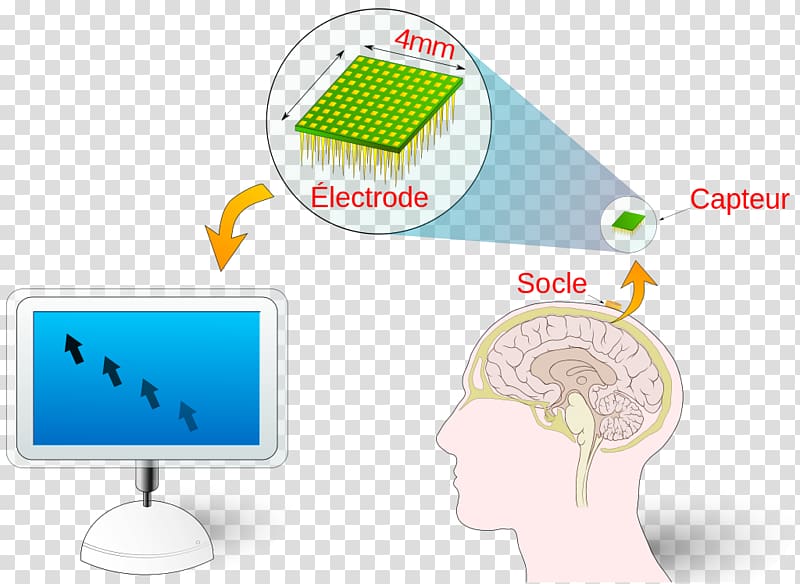 Brain–computer interface Technology BRLESC, technology transparent background PNG clipart