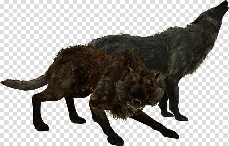 The Elder Scrolls V: Skyrim u2013 Dragonborn Oblivion Gray wolf Mod, Wolf transparent background PNG clipart