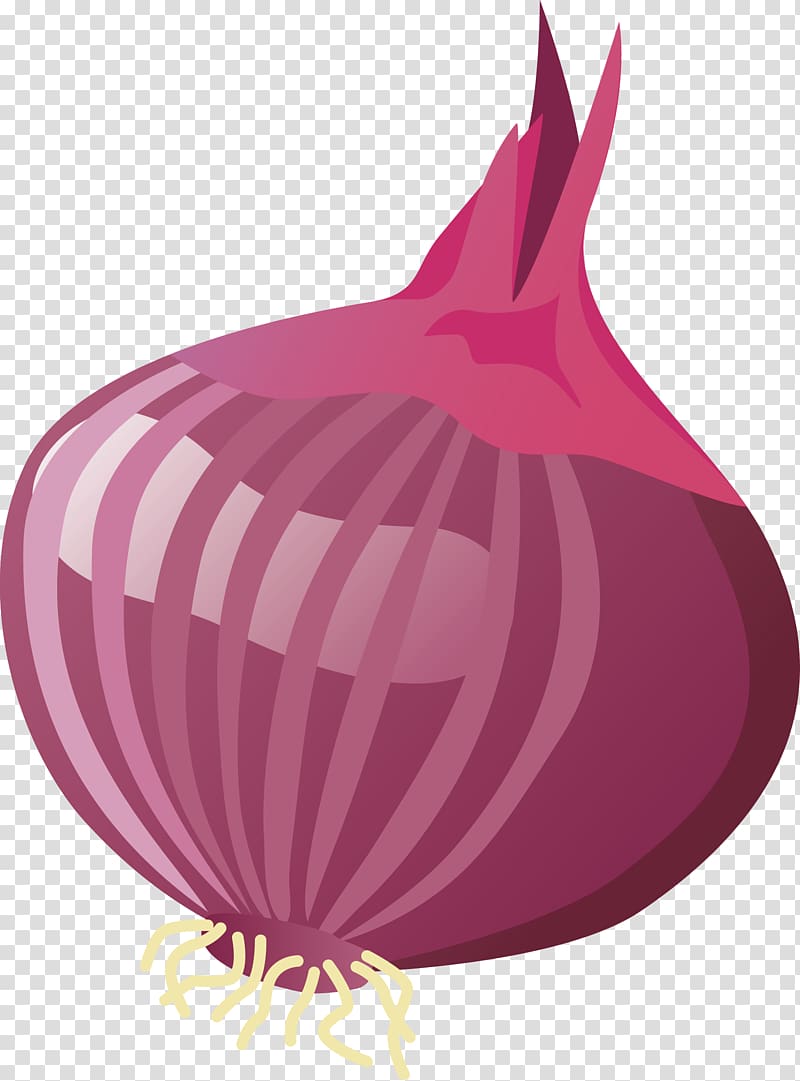Yellow onion Garlic, Onion transparent background PNG clipart