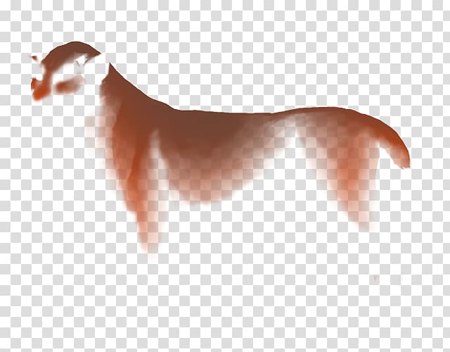 Dog breed Italian Greyhound Puppy Companion dog, puppy transparent background PNG clipart