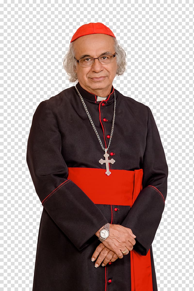 David Albin Zywiec Sidor Leopoldo Brenes Cardinal Episcopal