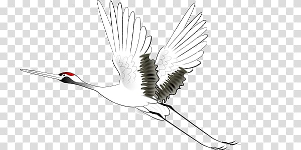 white crane transparent background PNG clipart