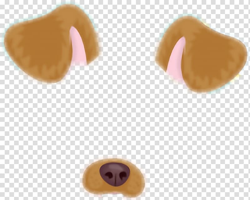 Dog paddle Animal Doge Snapchat, filter snap chat transparent background PNG clipart