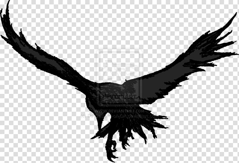 Crow Bald Eagle Watercolor painting Art, crow transparent background PNG clipart