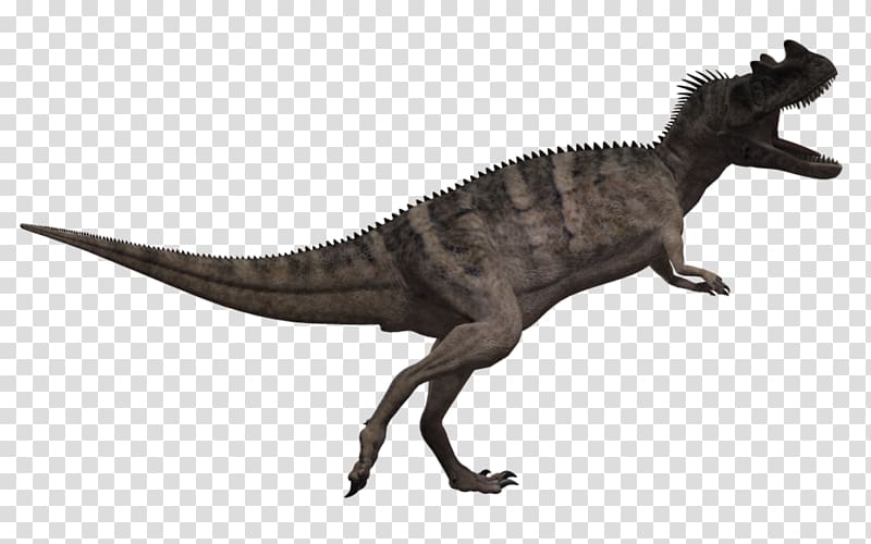 Ceratosaurus Tyrannosaurus Triceratops Carnotaurus Allosaurus, animals dinosaur transparent background PNG clipart