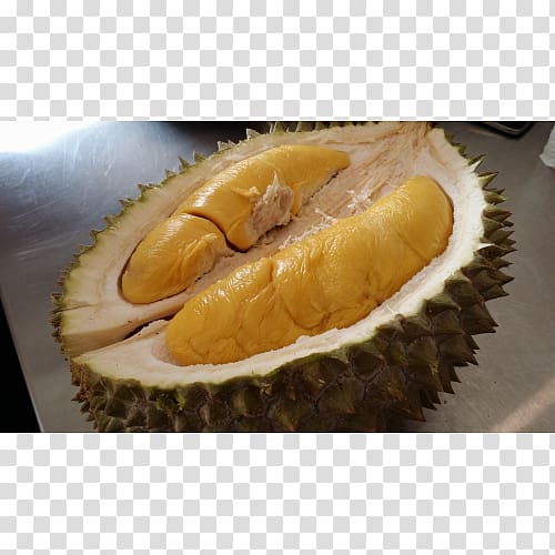 Durio zibethinus Malaysian cuisine Durian pancake Fruit Civet, Durian transparent background PNG clipart
