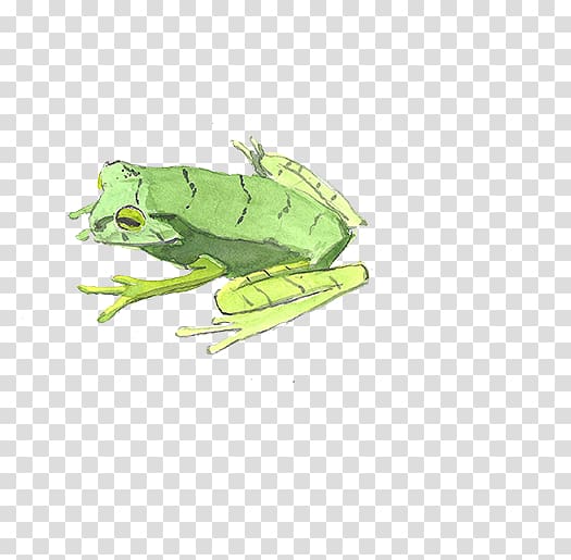 Watercolor painting Illustration, frog transparent background PNG clipart