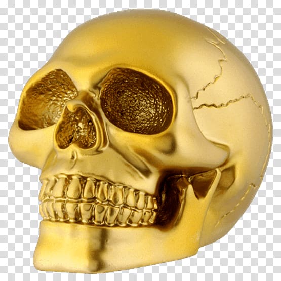 Skull Gold Human skeleton Amazon.com, skull transparent background PNG clipart