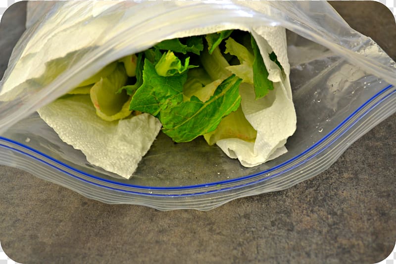 Wrap Leaf vegetable Romaine lettuce, lettuce transparent background PNG clipart