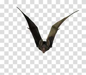 Visual arts Bat, others transparent background PNG clipart thumbnail