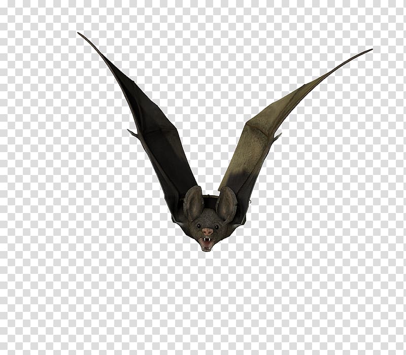 Visual arts Bat, others transparent background PNG clipart Visual arts Bat, others transparent background PNG clipart