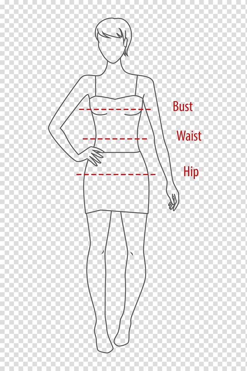 Thumb Human leg Hip Dress Shoulder, Bustwaisthip Measurements transparent background PNG clipart