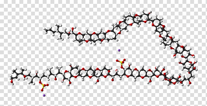 Maitotoxin Space-filling model Nuclear magnetic resonance spectroscopy Wikimedia Commons Molecule, others transparent background PNG clipart