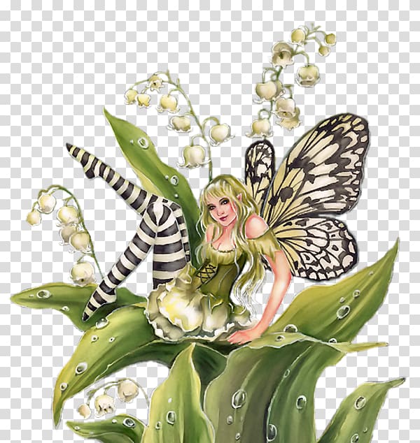 1 May Fairy, others transparent background PNG clipart