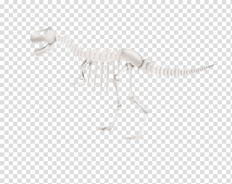 White Black Pattern, Dinosaur Skeleton transparent background PNG clipart