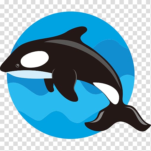 Sperm whale The Whale Cetacea Open, icon whale transparent background PNG clipart