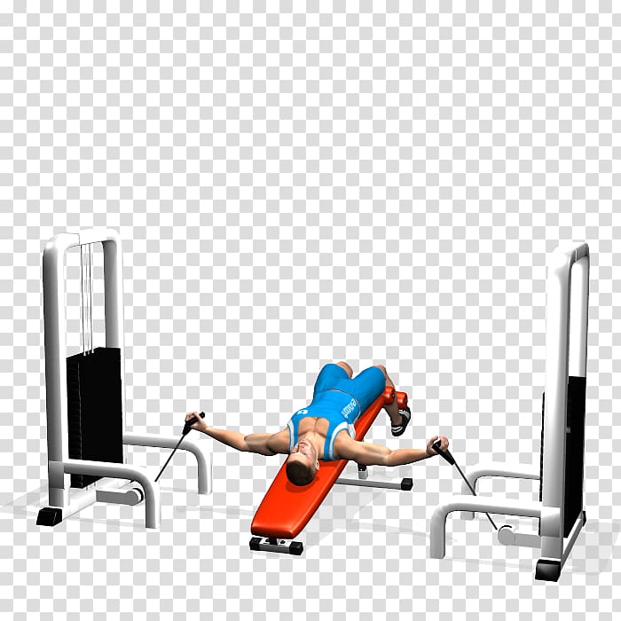 Weightlifting Machine Bench press Barbell Smith machine, barbell transparent background PNG clipart