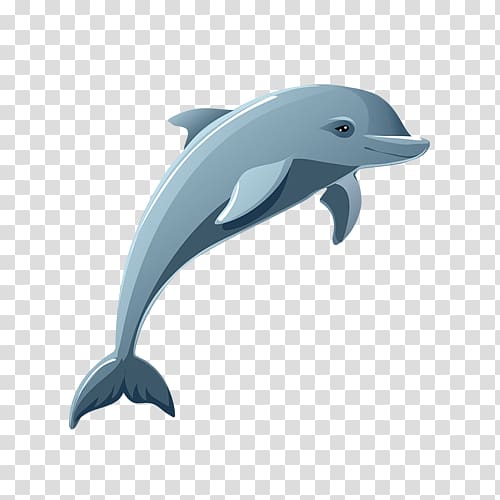 blue and white dolphin illustration, Dolphin Cartoon Drawing , dolphin transparent background PNG clipart