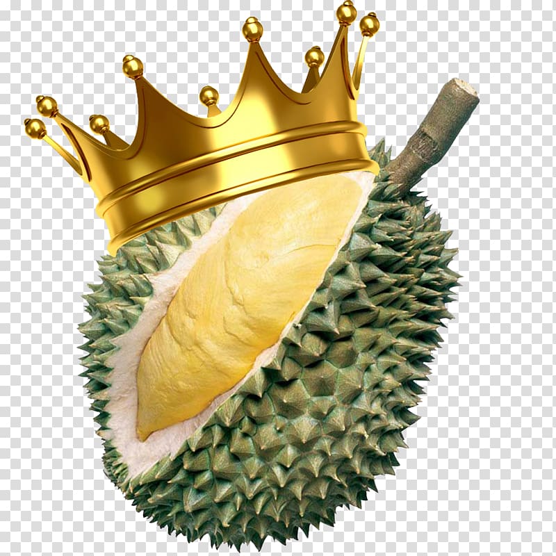 Durio zibethinus Fruit Durian Custard Davao, others transparent background PNG clipart