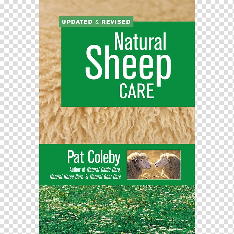 Natural Sheep Care Natural Goat Care Shetland sheep Live, goat transparent background PNG clipart