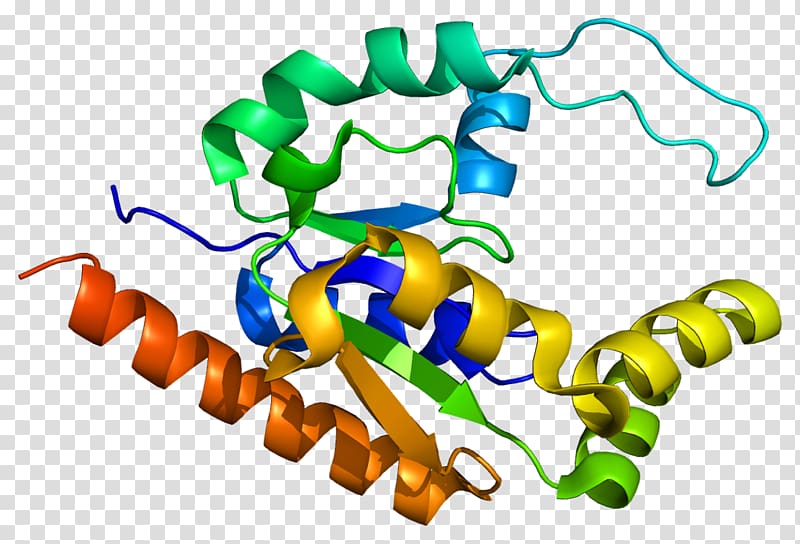 TATA-binding protein TAF9 Transcription factor II D, others transparent background PNG clipart