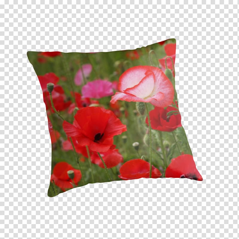 Cushion Throw Pillows Malvales, pillow transparent background PNG clipart