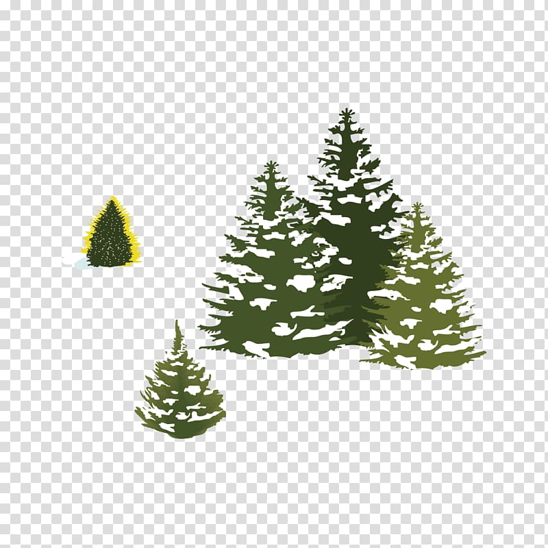 Pine Spruce Christmas tree Snow, Snow pine transparent background PNG clipart