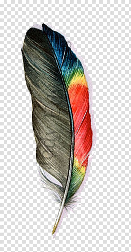 Feather Parrot Bird Watercolor painting, feather transparent background PNG clipart