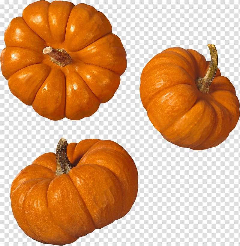 three orange squash, Trio Pumpkin transparent background PNG clipart