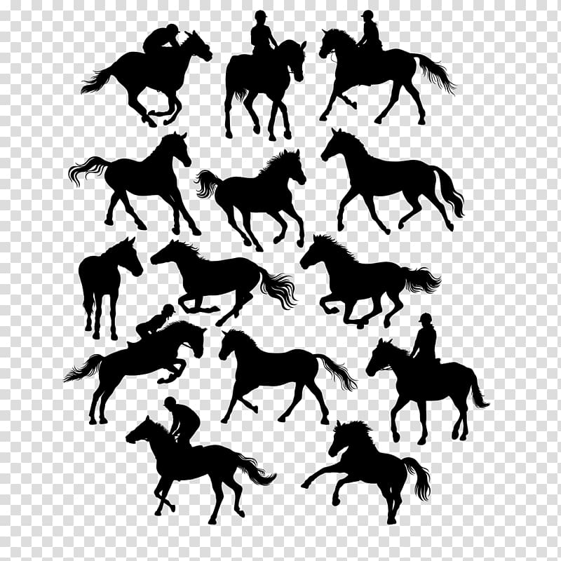 Horse Euclidean Equestrianism Illustration, 14 creative equestrian horse with silhouette material transparent background PNG clipart